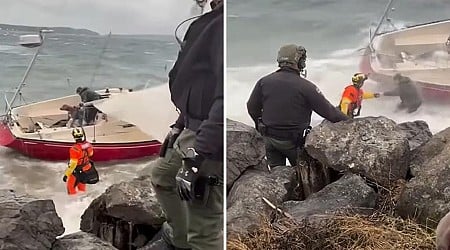 Coast Guard rescues man and his dog from sailboat run aground on Christmas morning