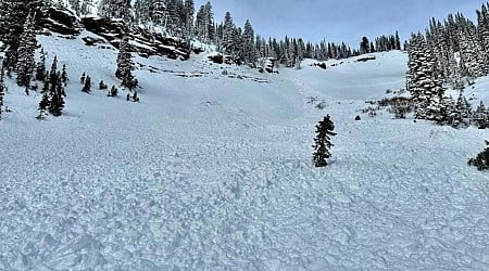 Utah man accidentally causes avalanche, rescues trapped brother after spotting "couple of fingers" sticking out of snow