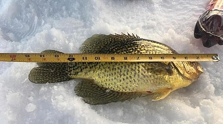 How Rain, Warmer Weather Will Affect Ice Fishing in MN