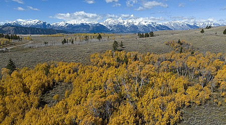 Wyoming governor approves $100 million sale of state land to join Grand Teton National Park