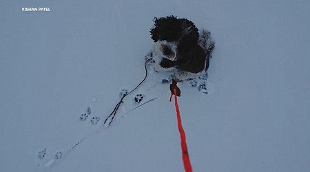 WATCH: Drone owner helps save dog from frozen lake