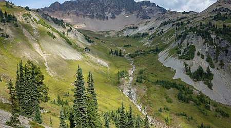 2 found dead at Gifford Pinchot National Forest, officials say