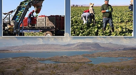 Shrinking Colorado River will take a toll on the nation's food supply