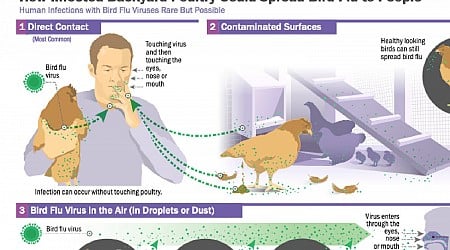 CDC Confirms First ‘Severe’ Case of H5N1 Bird Flu in U.S.