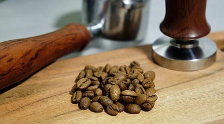 Qué diferencia al "arábica" del "robusta": entendiendo la gran batalla mundial sobre las especies del café