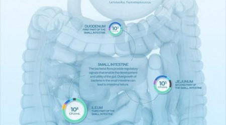 Your Friends Might Be Influencing Your Gut Microbiome: Study