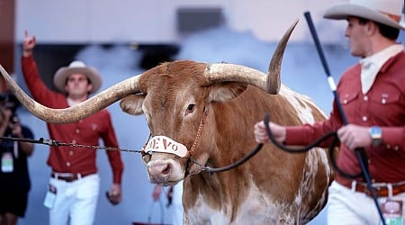 Big beef: No space for Bevo at SEC title game