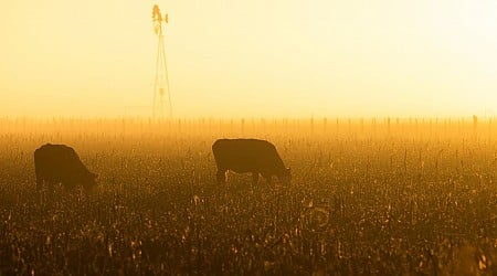 Trotzt heftiger Proteste: Mega-Handelsdeal zwischen EU und Mercosur auf Zielgeraden