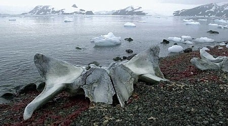 Narrativas do Sul Global sobre mudanças climáticas no Tribunal do Mar