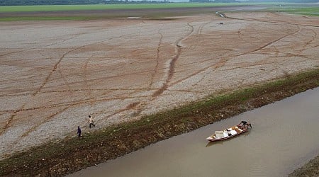 Drought, fires, deforestation battered Amazon rainforest in 2024