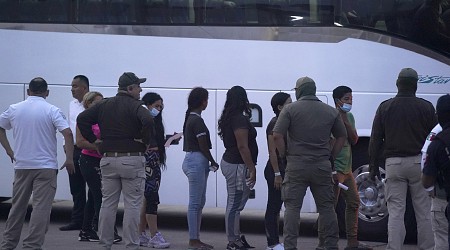 Mexican App Will Allow Migrants to Hit 'Panic Button' on US Detentions