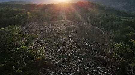 Amazon Indigenous community wins latest stage of court battle for lost territory