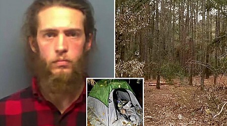 14-year-old girl found in woods after creep she met online gaming used her for sex