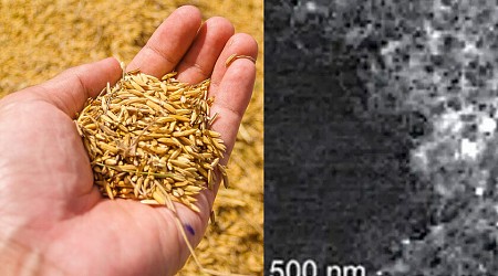 Estados Unidos necesitaba una alternativa al grafito para evitar a China. Ha encontrado algo mejor: la cáscara de arroz