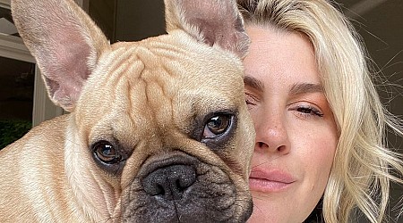 Comedian Heather McMahan Is A Crazy Dog Mom, Just Like The Rest Of Us