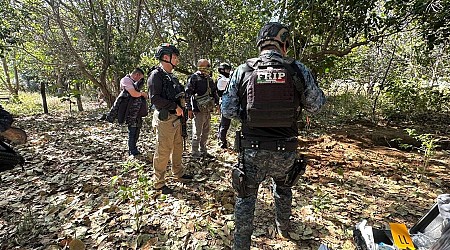 More than 30 bodies pulled from hidden graves in Mexico region plagued by drug cartel turf war