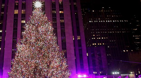 50.000 Lichter am Rockefeller-Weihnachtsbaum in New York angeknipst