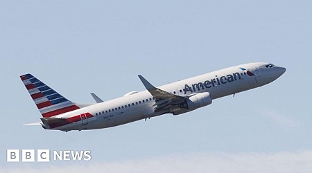 American Airlines resumes flights after technical issue