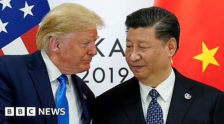 Xi Jinping not expected to attend Trump inauguration