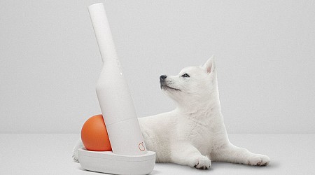 This Compact Vacuum Cleaner Keeps The Homes Of Pet Owners Clean With Ease