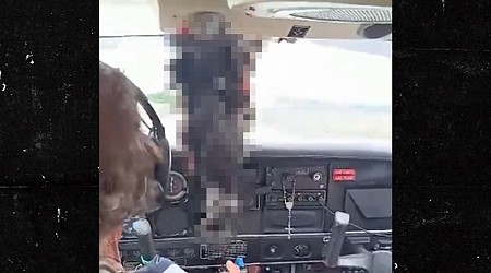 Pilot Skillfully Lands Plane After Vulture Crashes Into Cockpit, Video Shows