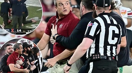 South Carolina's Shane Beamer goes berserk on Illinois' coach for taunting him