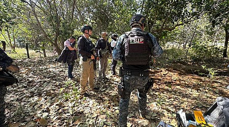 31 bodies pulled from hidden graves amid cartel turf war