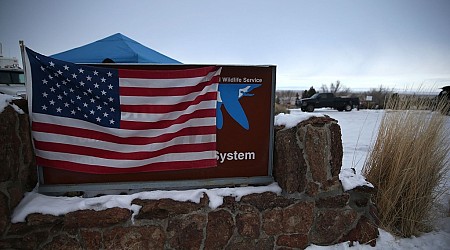 January 2, Armed militia occupies Malheur refuge in Oregon