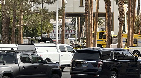 1 person dead, 7 injured after Tesla truck explodes outside Trump's Las Vegas hotel