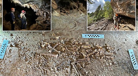 Skeleton of 26,000-year-old red fox unearthed in Utah cave