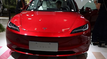 Tesla's China sales hit record high in 2024, bucking global decline