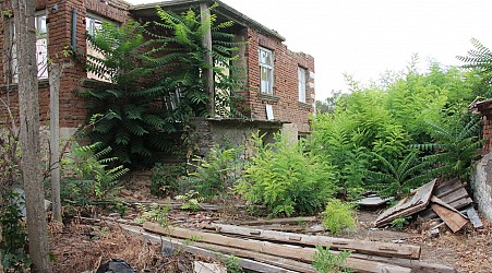 Farmers are abandoning their land. Is that good for nature?