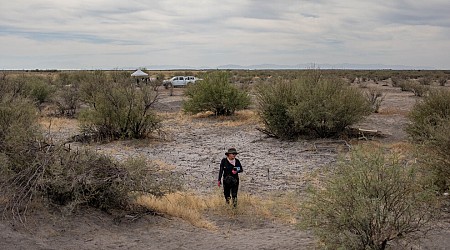 In Mexican Desert, Digging for a ‘Miracle’: Bringing the Missing Back Home