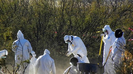 Authorities find 12 bodies in clandestine graves in northern Mexico