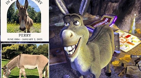 Donkey who inspired Eddie Murphy's 'Shrek' character dies at 30