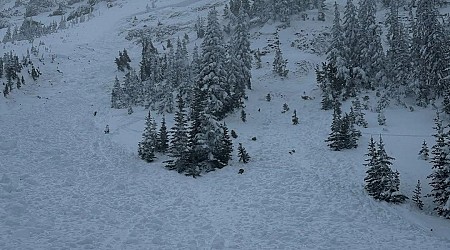 One dead, one injured in Wyoming avalanche