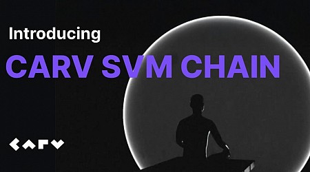 CARV Announces the Launch of CARV SVM Chain Testnet: Empowering AI Agents, Redefining Data Sovereignty