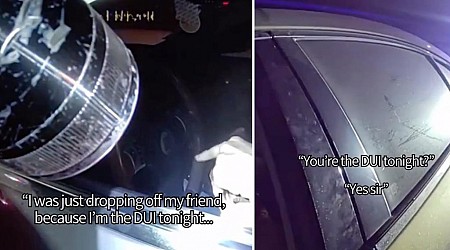 Calif. motorist arrested after saying he was the 'DUI' during traffic stop