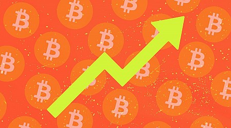 I invested $50 in Bitcoin in 2022, and it's been a ride. Here's how much I have now