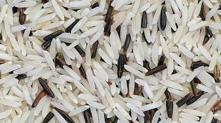 EPA investigating taconite mine for pollution that threatens wild rice