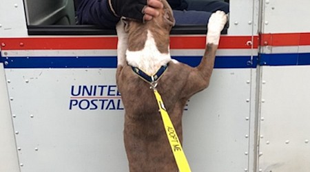 WATCH: Mailman receives special sendoff after nearly 40 years of service