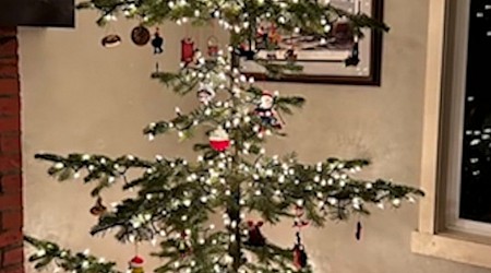 WATCH: Family unexpectedly finds a ‘Charlie Brown’ Christmas tree