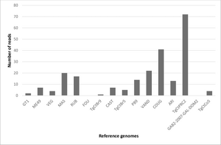 Toxoplasma gondii from Gabonese forest, Central Africa: First report of an African wild strain