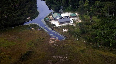 ‘Bouterse verbleef mogelijk in de Surinaamse jungle’