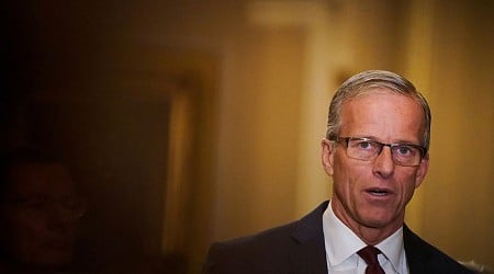 New top US Senate Republican John Thune steps up as Trump returns