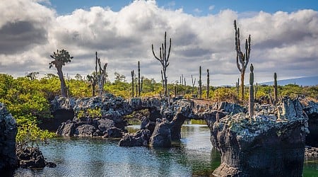 Vom Weltnaturerbe zur Militärbasis