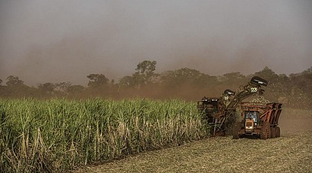 ICE Move to Limit Gene-Edited Sugar in US May Hurt Brazil Flows