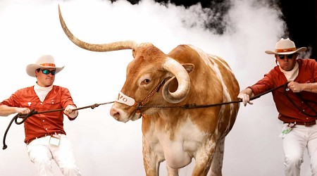 Texas Mascot Bevo to Be at CFP Semifinal vs. Ohio State After Peach Bowl Ban