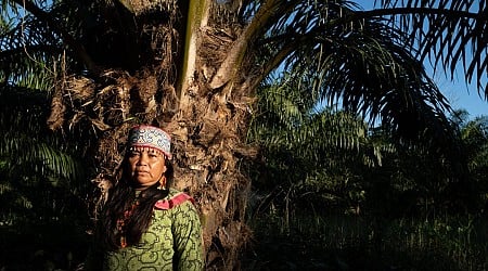 A palm oil company, a group of US financiers, and the destruction of Peru's rainforest