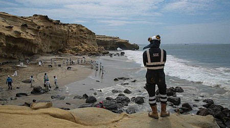 Peru declara emergência ambiental após vazamento de petróleo no mar